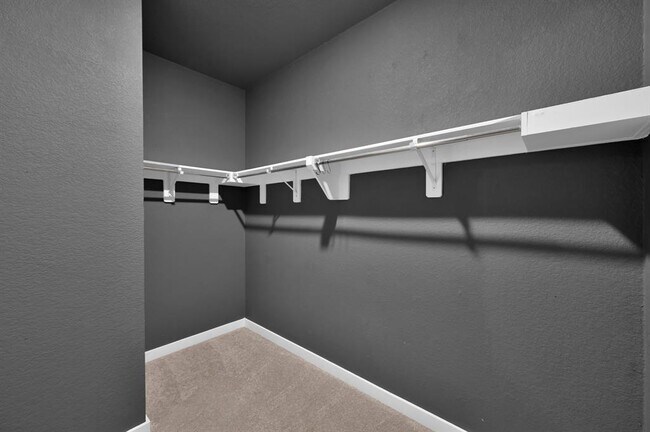Building Photo - 109 Morning Nook Ct