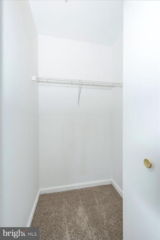 Building Photo - 161 Heathfield Dr