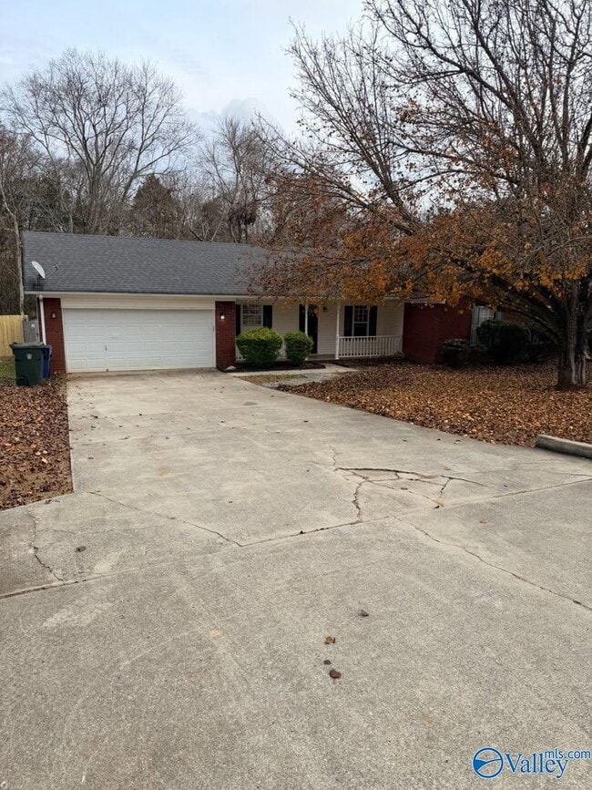 Building Photo - 217 Falcon Ridge Dr