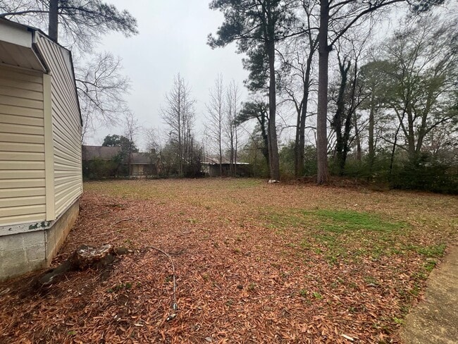 Building Photo - 4 Bedroom 2.5 Bathroom Home