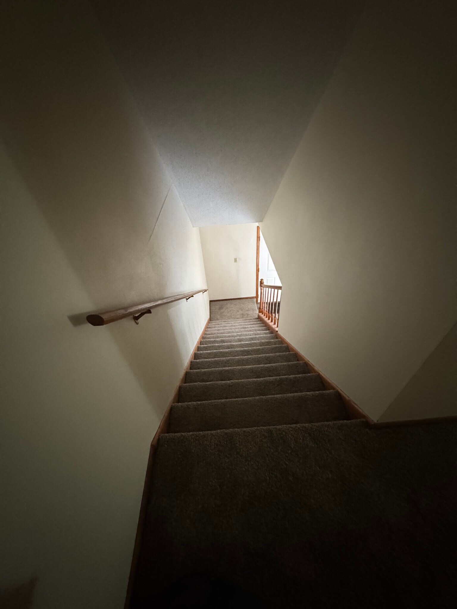 Downstairs - 287 Orrin St