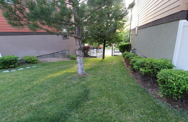 Building Photo - 14919 Ox Cart Ln
