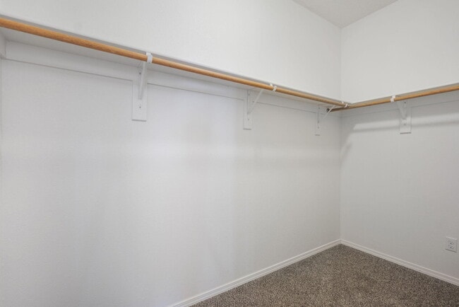 Building Photo - 1143 Desert Sunflower Dr NE