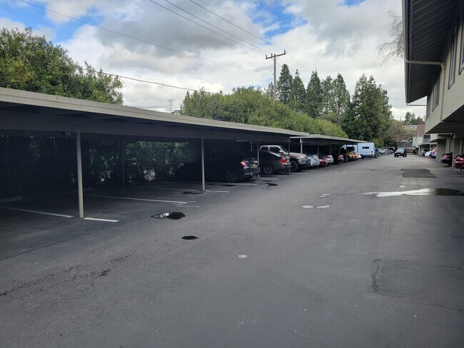 Building Photo - Spacious and Updated 1 Bedroom Convenientl...