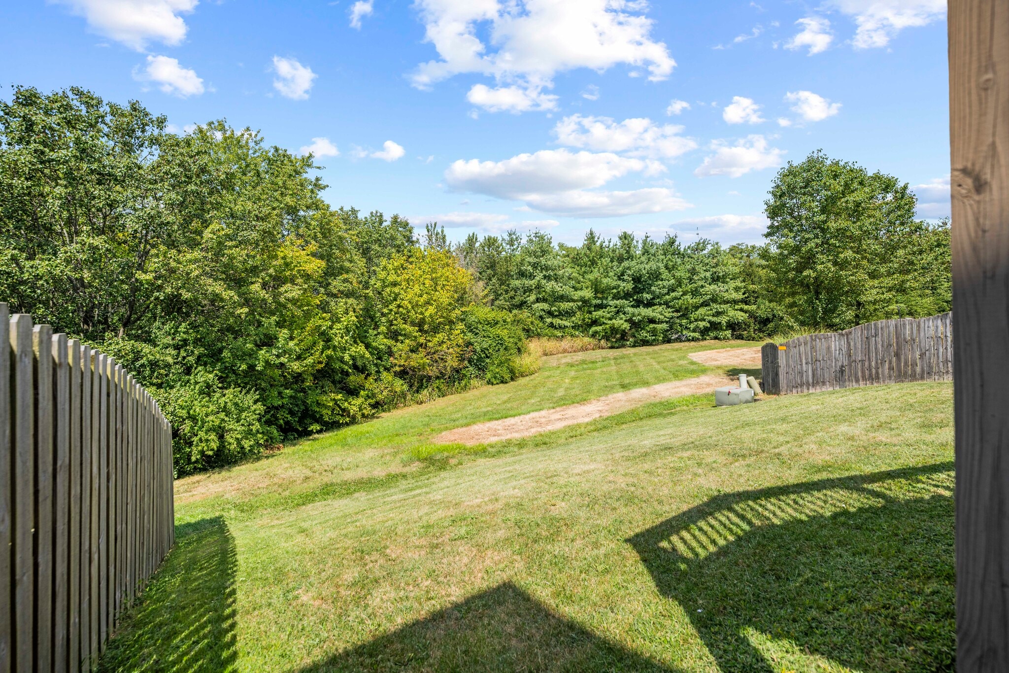 Rear Yard Overlooking Greenspaces and Tree Line - 393 Hays Blvd