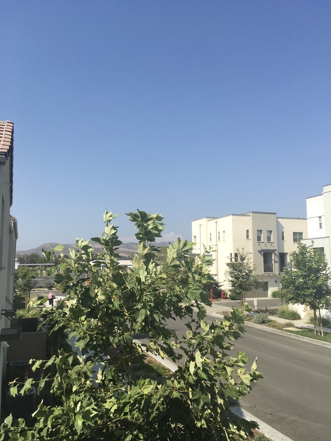 Building Photo - 101 Acamar