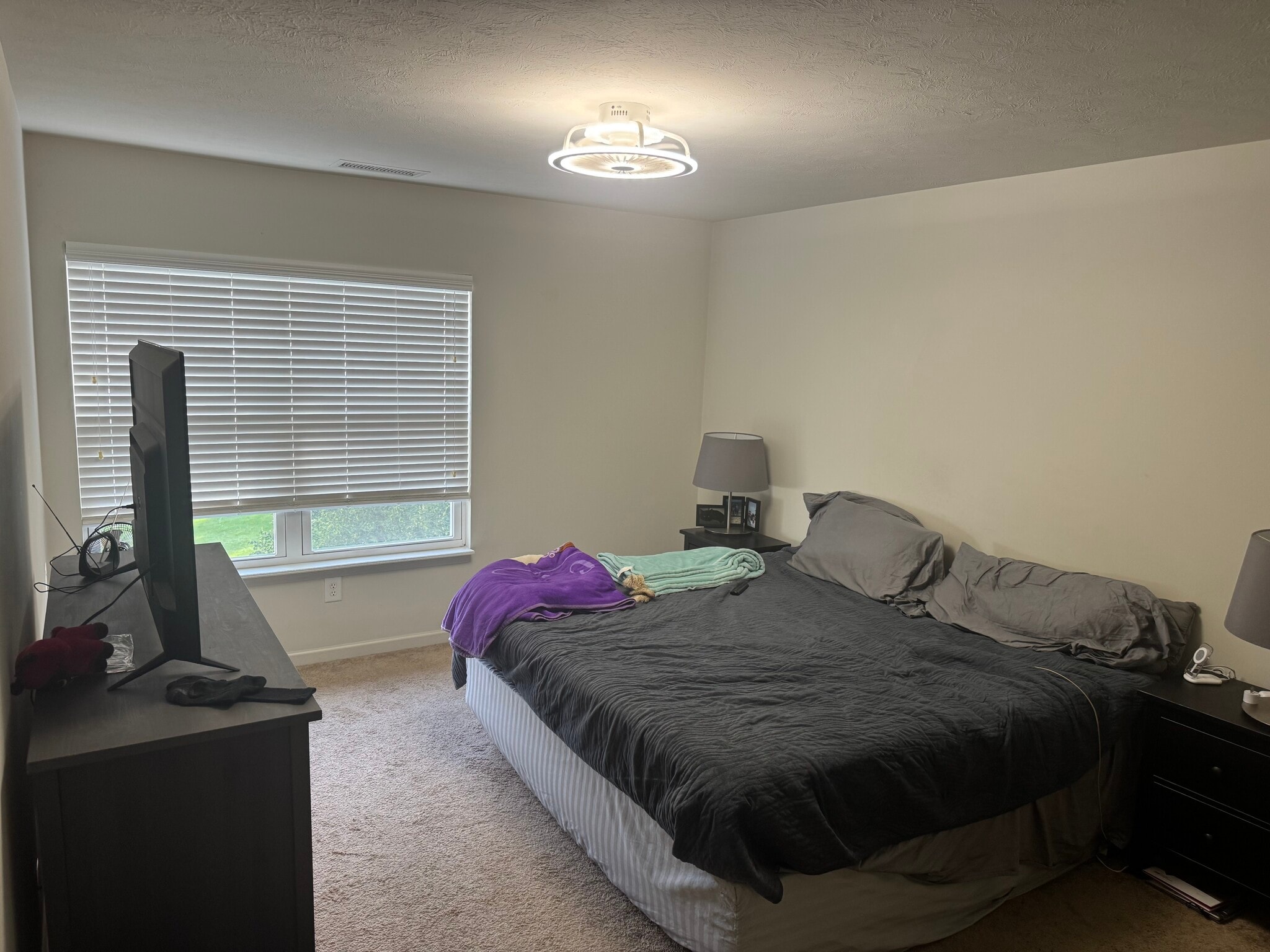 Building Photo - 12030 Zircon Ln