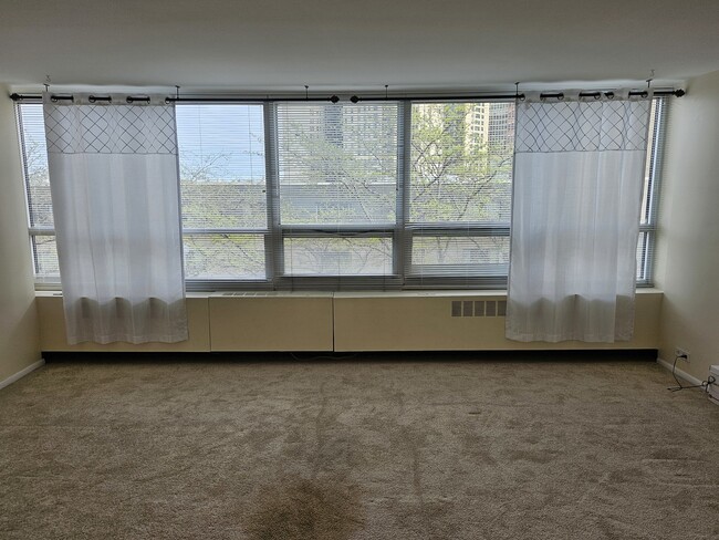Building Photo - 4800 S Chicago Beach Dr