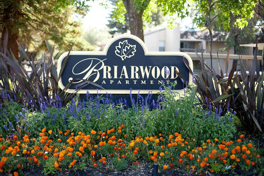 Primary Photo - Briarwood Apartments