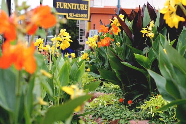 Building Photo - 2017 Elm St