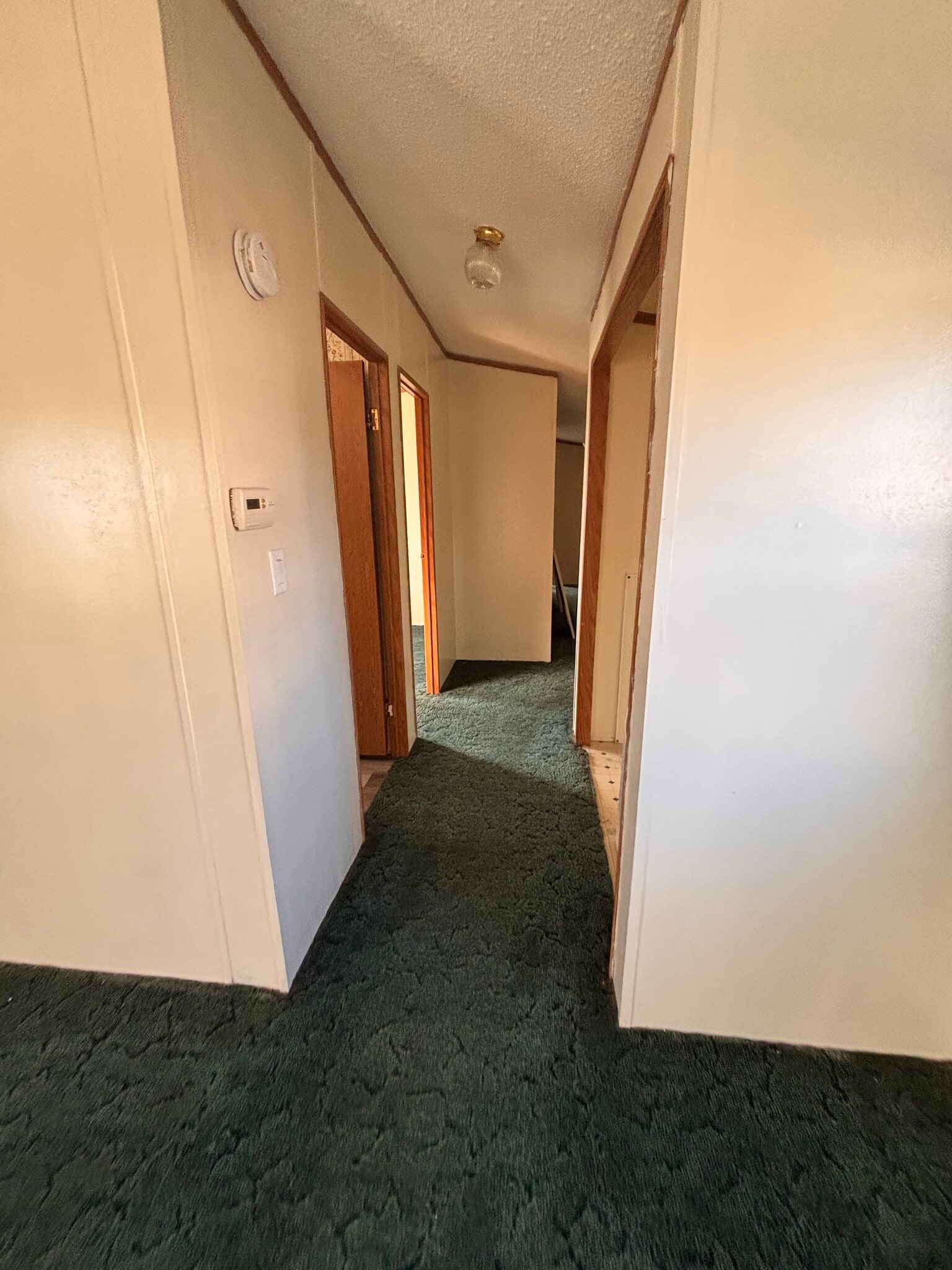 Hallway - 10543 Emberwood Dr