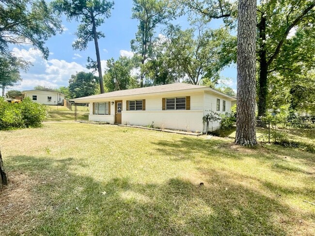 Building Photo - Charming 3 Bedroom Home in Pearl!