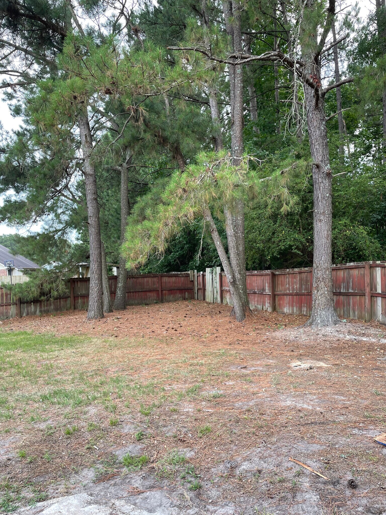 Backyard - 5503 Heather St