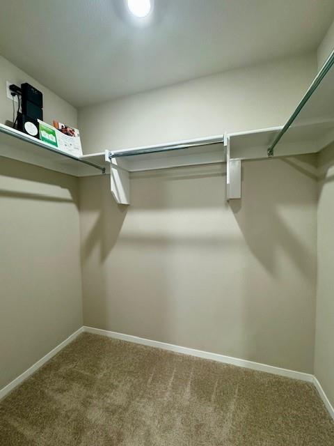 Building Photo - 3410 SW Adoration St