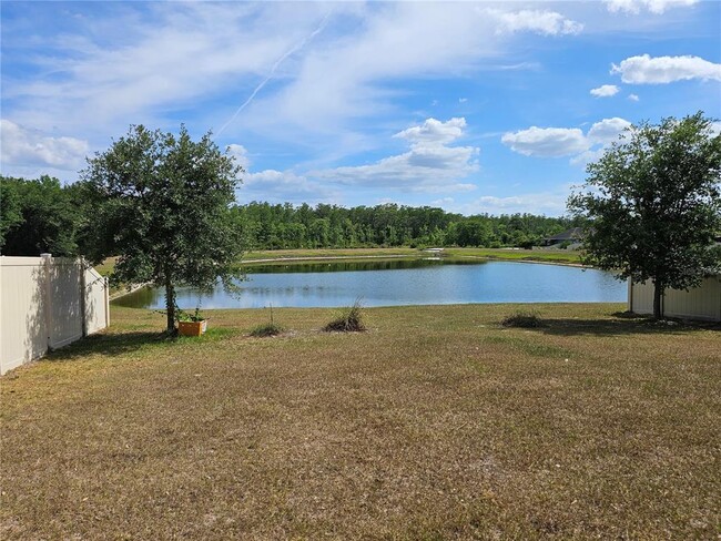 Building Photo - 4078 Pindo Palm Ln