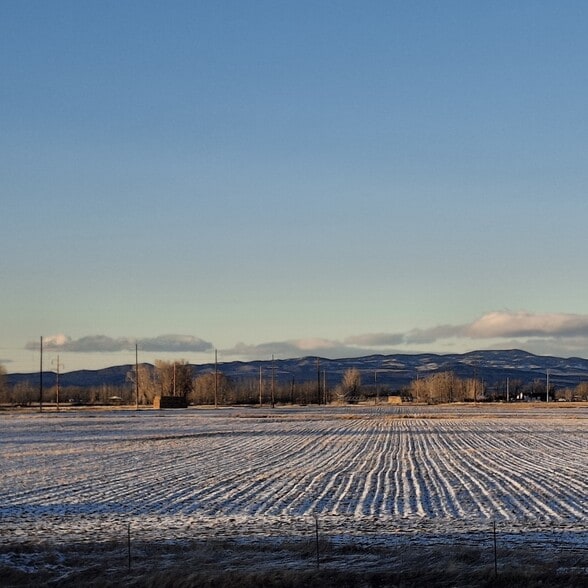 Building Photo - 161 Tail Feather Ln