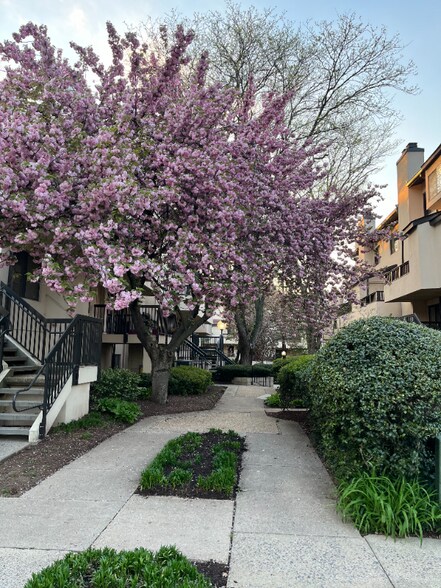 Building Photo - 9787 Hellingly Pl