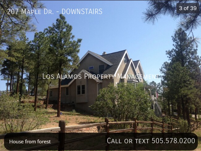 Building Photo - 207 Maple Dr