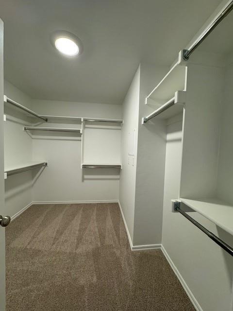 Building Photo - 3213 Hunt Ln