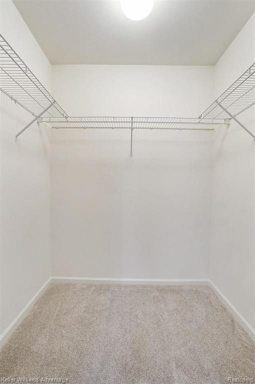 Building Photo - 28556 Carlton Way Dr