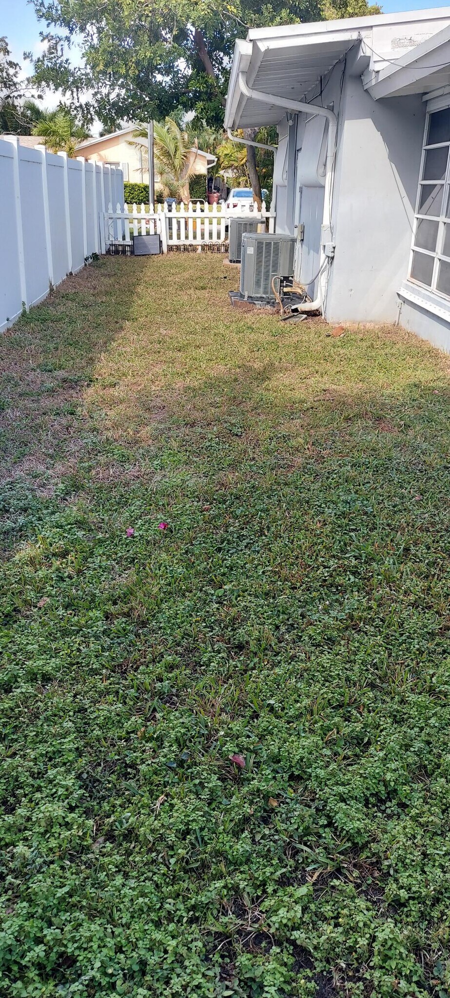 Side Yard - 228 Beverly Dr