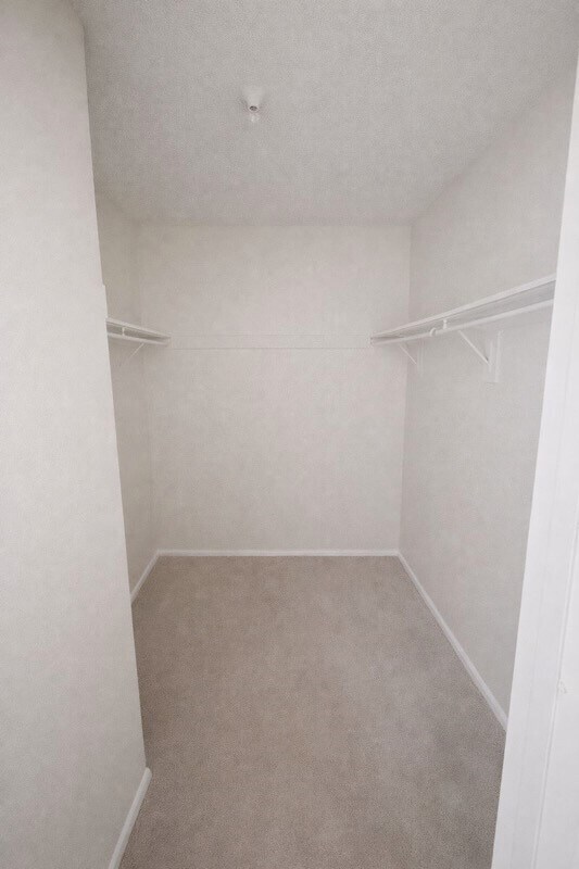 Building Photo - 2155 Hazlitt Dr