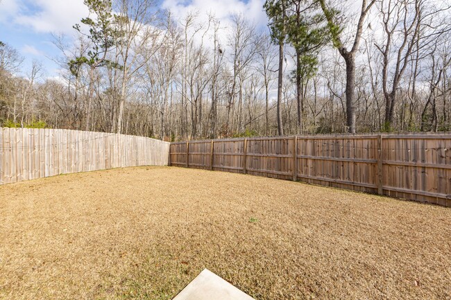 Building Photo - 4 Bedroom 2.5 Bath House in Grand Oaks Pla...