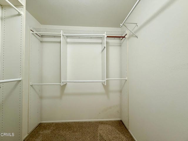 Building Photo - 627 Terrace View Pl