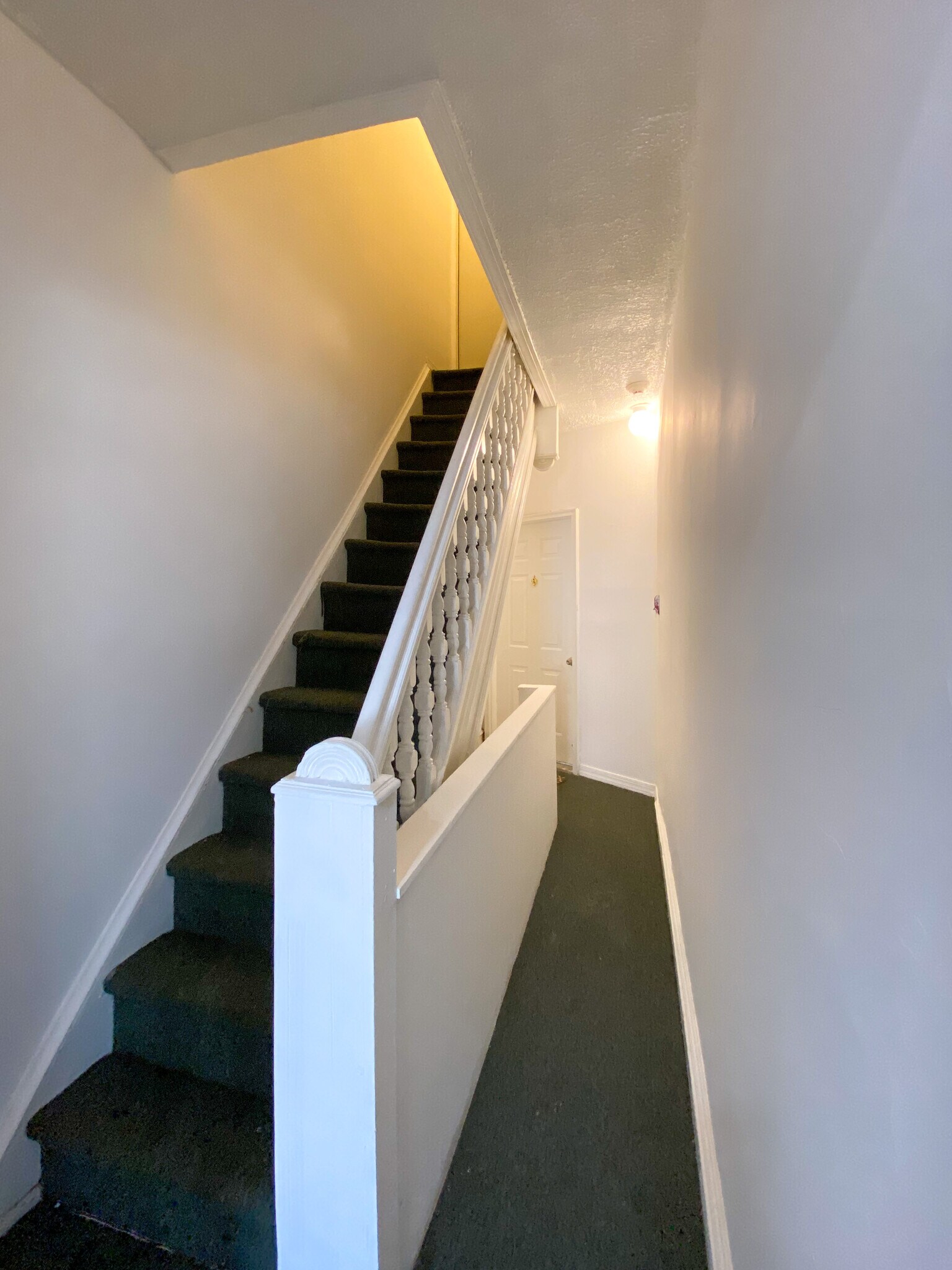 Hallway - 1414 Snyder Ave