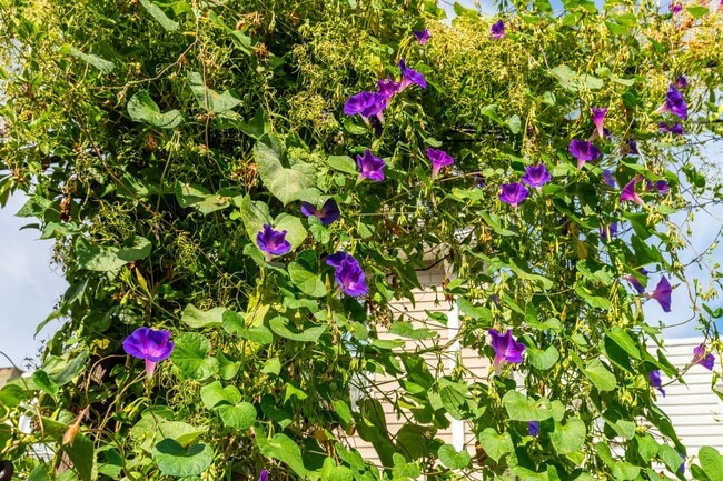 Building Photo - Newly Renovated 2-Bedroom 1-Bathroom Home ...