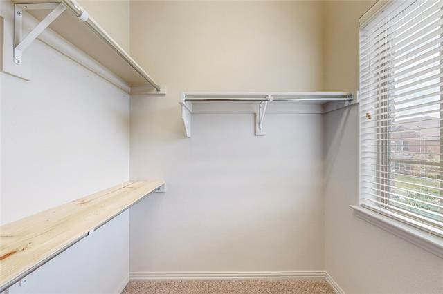 Building Photo - 2404 Jameson Ln
