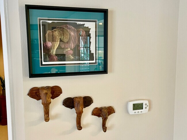 Building Photo - 4815 White Rock Cir