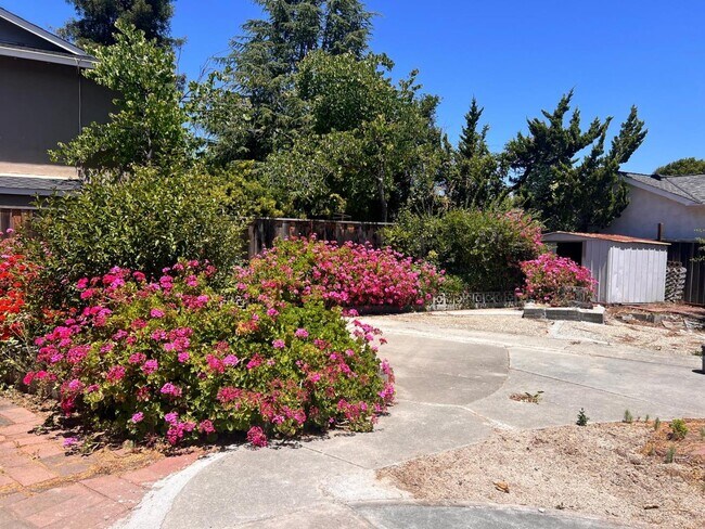Building Photo - 14892 Donner Dr