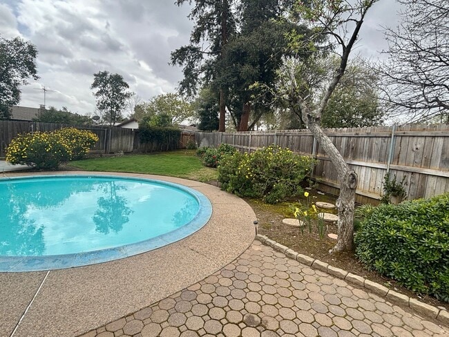 Building Photo - Honey-Stop The Car! This house has it all! 3/2 with Pool!!!  Please read entire ad for viewings!