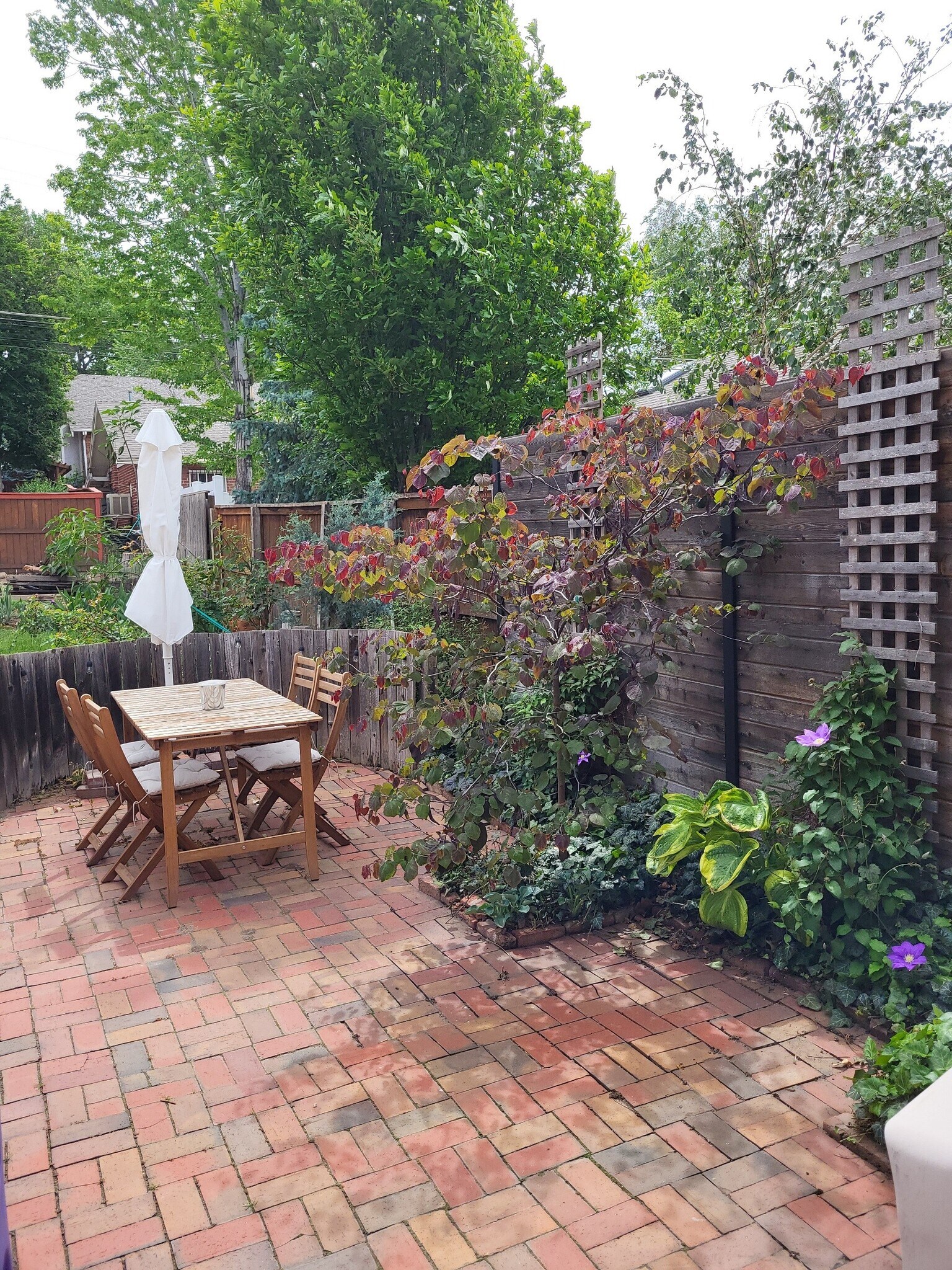 Brick Terrace - 336 S Washington St