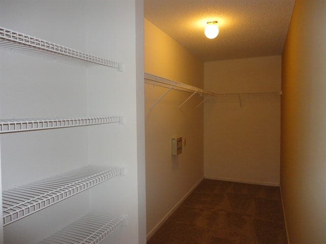 Building Photo - 8624 Centenary Dr