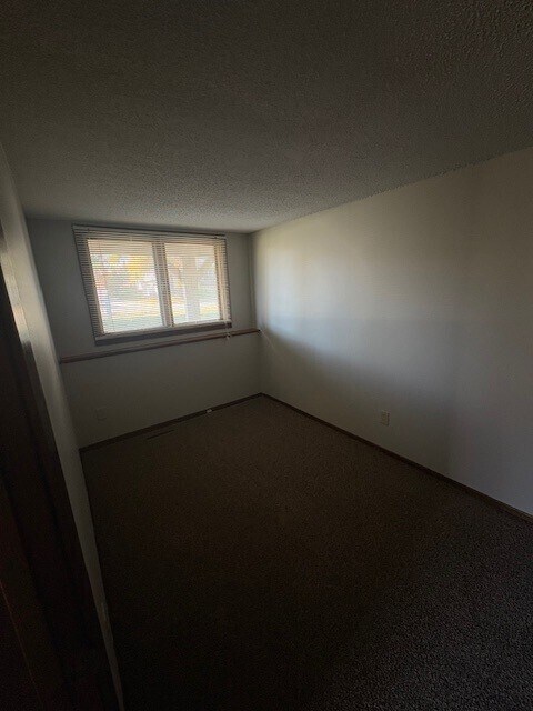 Downstairs Bedroom - 4256 W 124th St