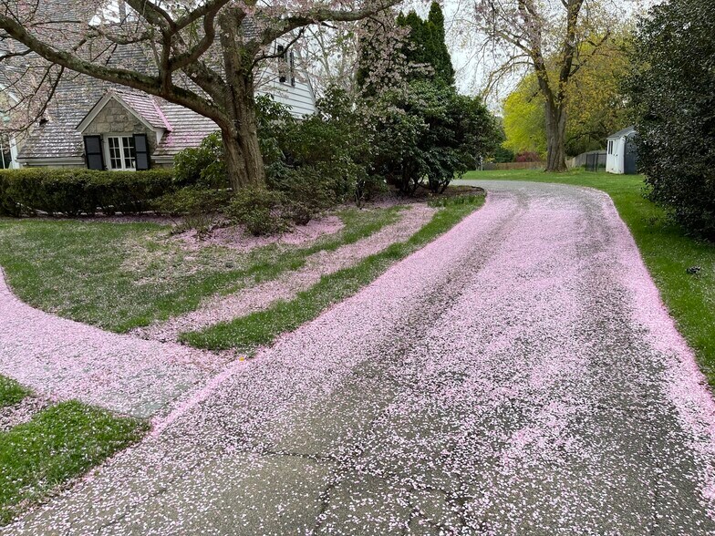 Spring - 18 Lincoln Ave