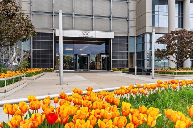 Building Photo - 600 N Lake Shore Dr