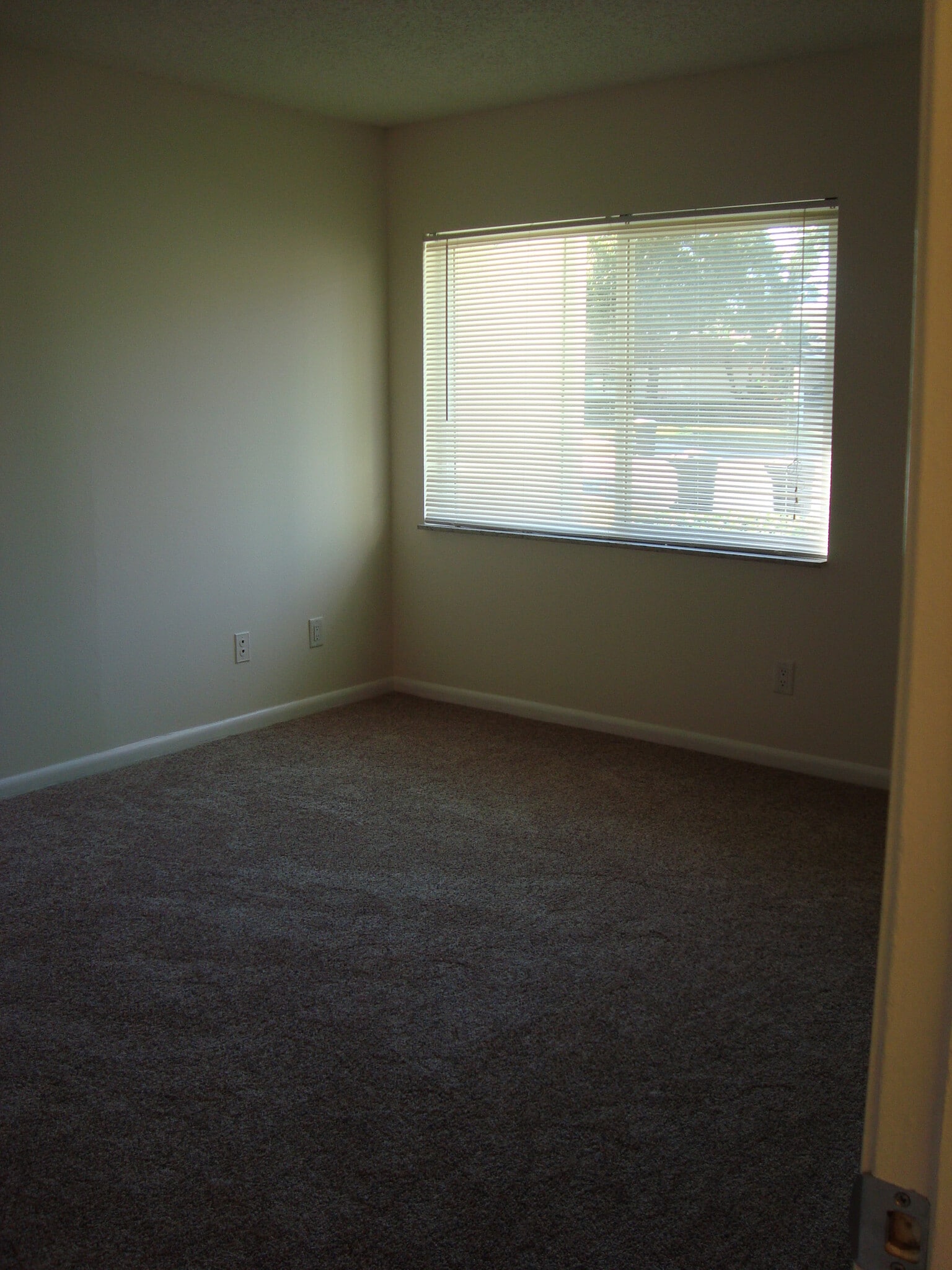 Building Photo - 2748 Foxfire Ct