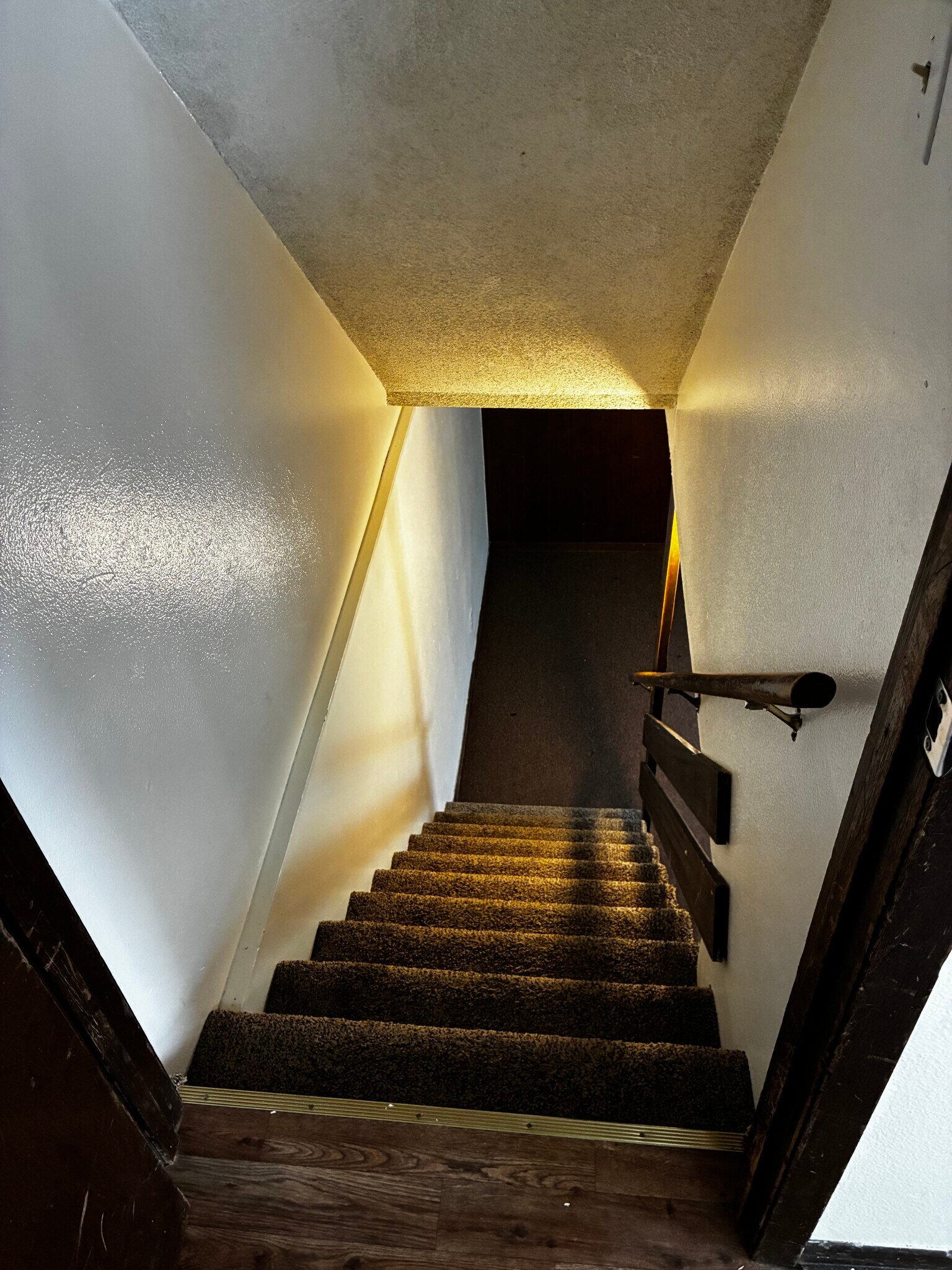 This is the veiw downstairs - 1205 Randolph St