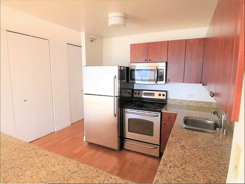 Renovated kitchen - 474 N Lake Shore Dr
