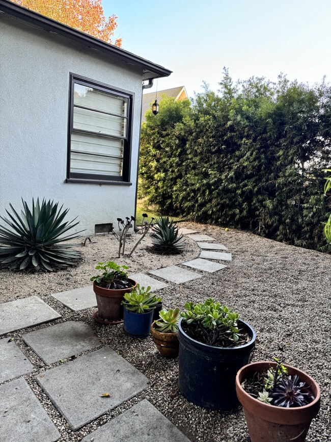 side yard - 1402 Maple St