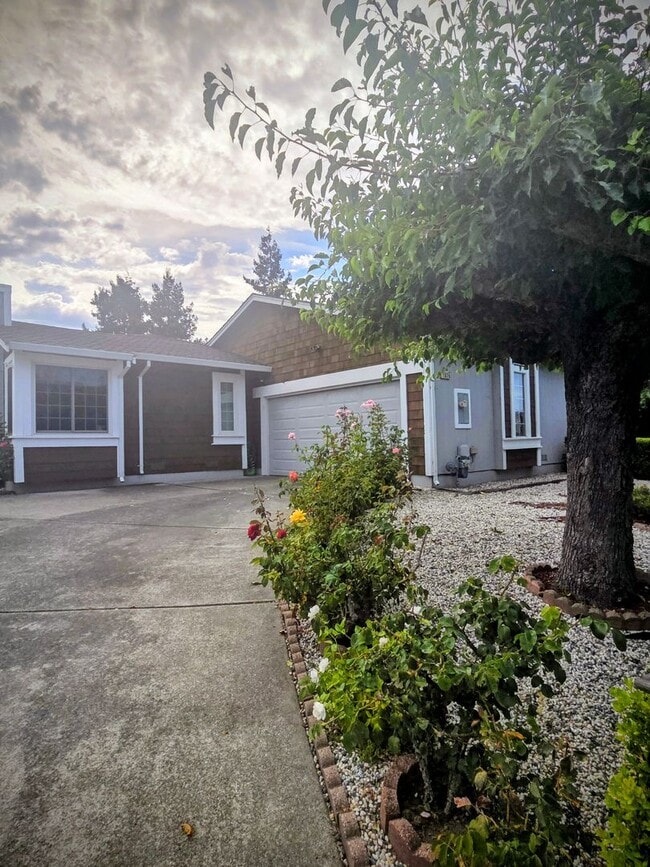 Building Photo - East Side Petaluma Gem  3 Bed 2 Bath