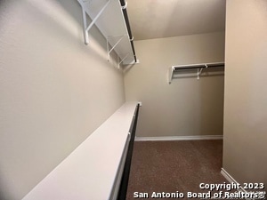 Building Photo - 10822 Shaenmeadow