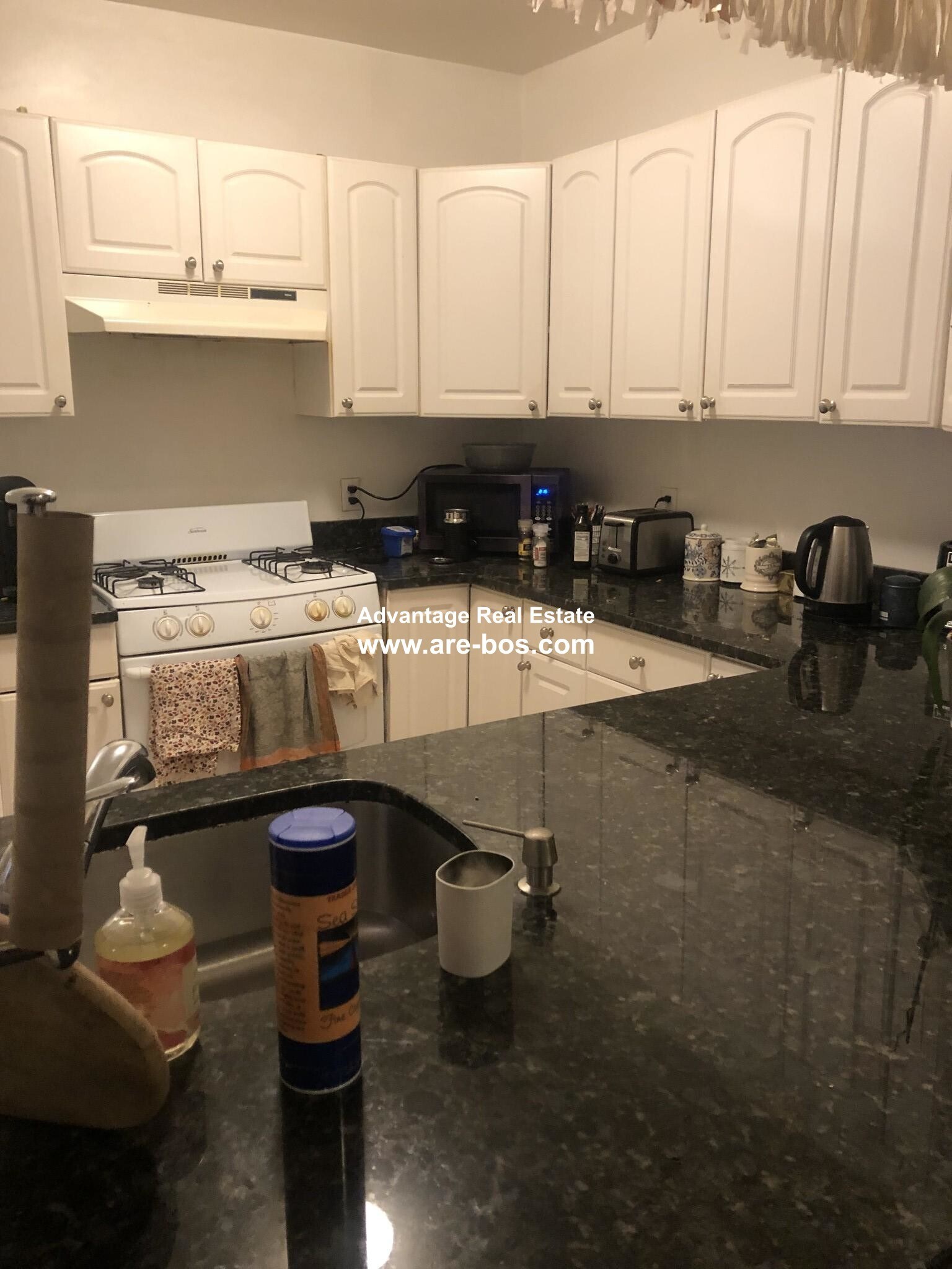 Building Photo - 62 Egmont St