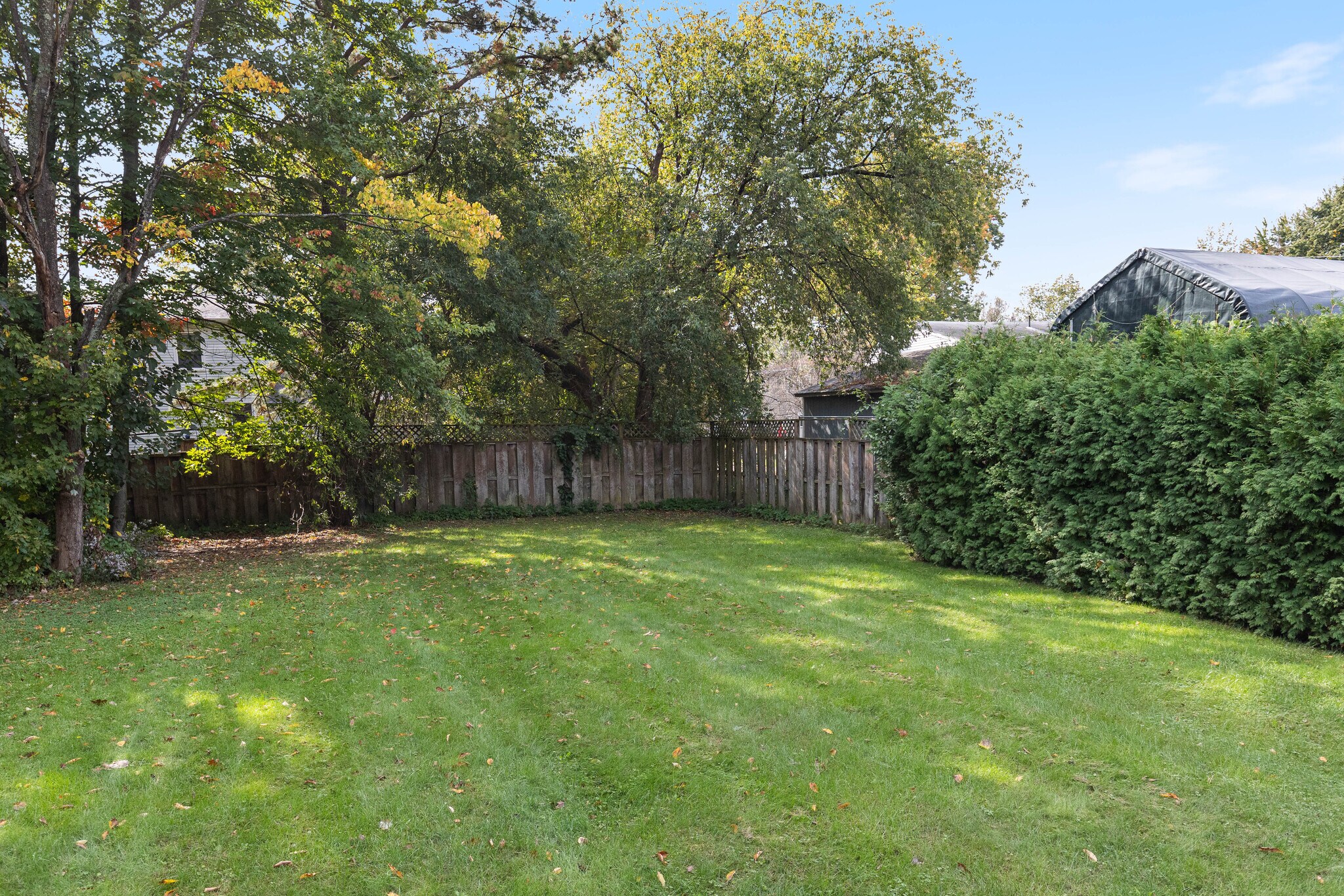 Building Photo - 250 Grey Birch Dr