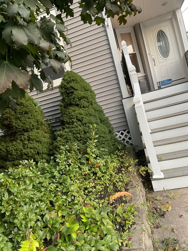 Front from sidewalk - 20 Princeton St