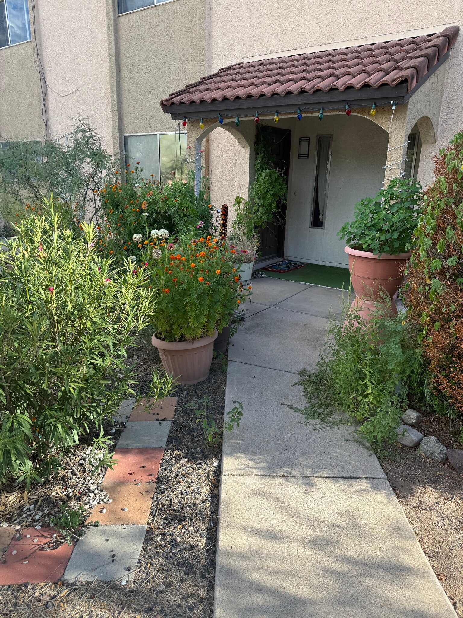 Building Photo - 433 Avenida Garza