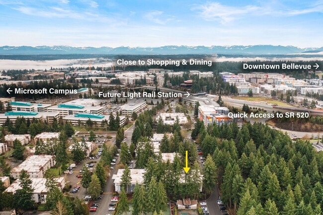Building Photo - Fully Remodeled 1 bedroom Minutes from Microsoft!